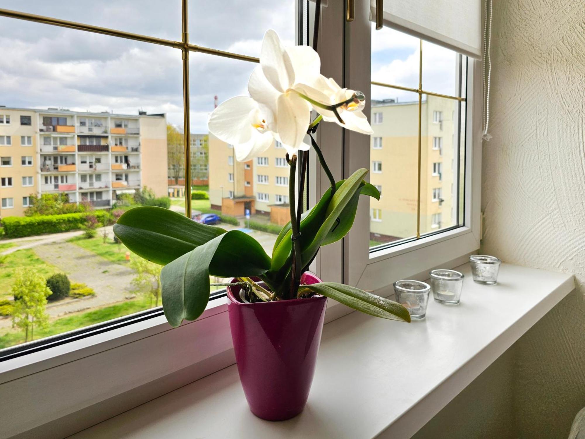 Visit Baltic - Apartament Sunny Swinoujscie Kültér fotó